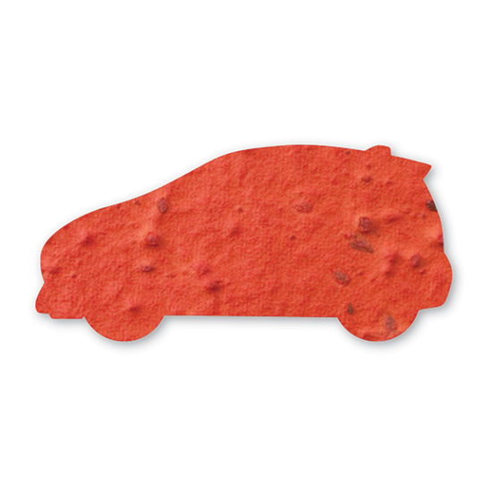 orange car seed paper