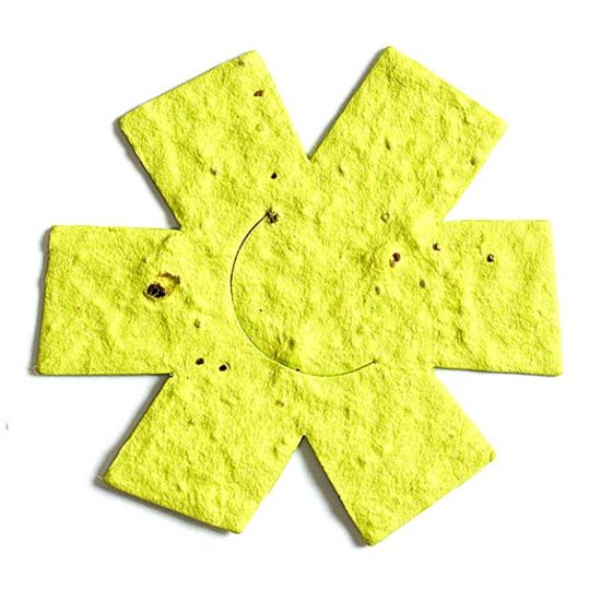 yellow flower seed paper