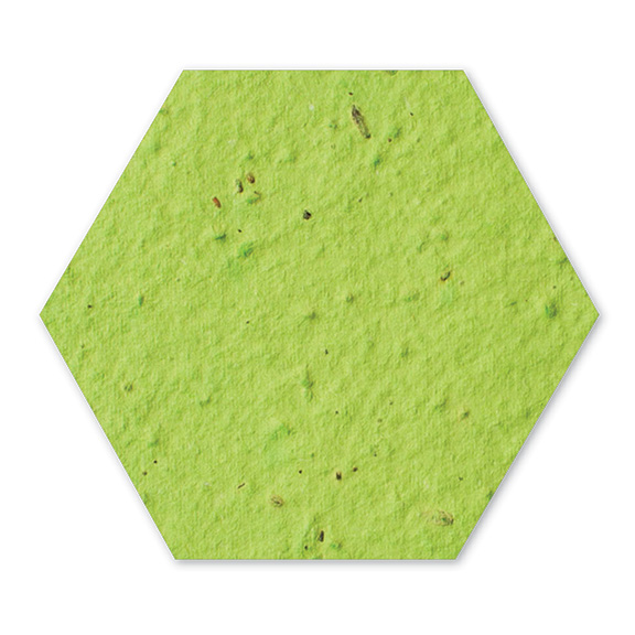 lime green hexagon plantable paper