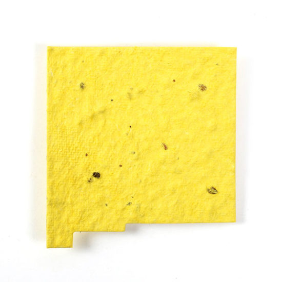 yellow new Mexico state seed paper