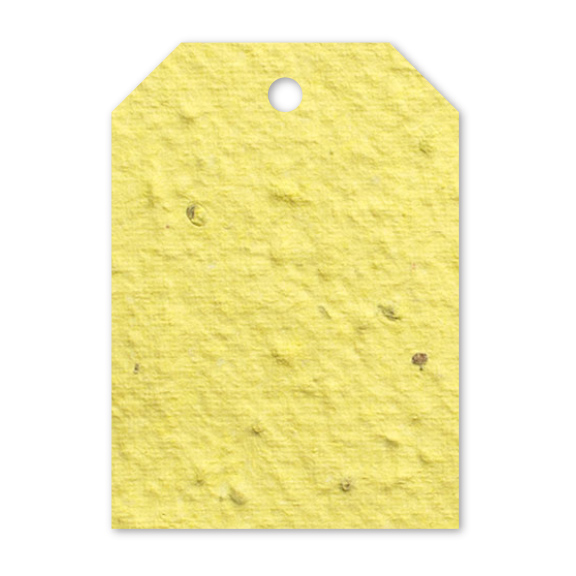 yellow price tag seed paper