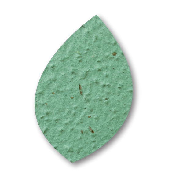 thyme-leaf-seed-paper