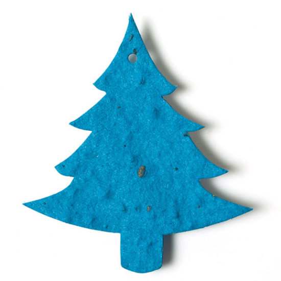 Blue Pine Tree Seed Paper