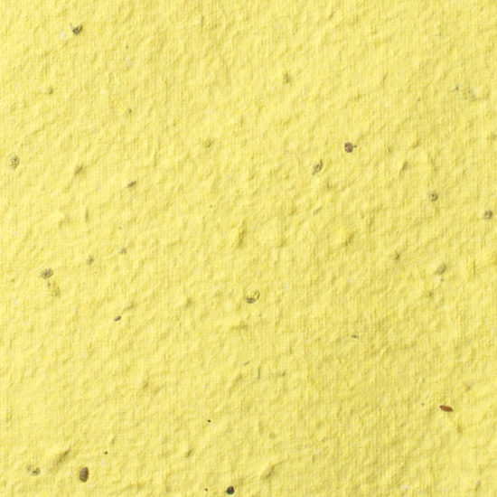 Yellow Plantable Seed Paper