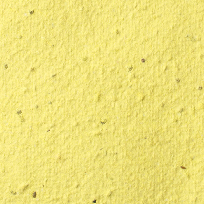 Yellow Plantable Seed Paper