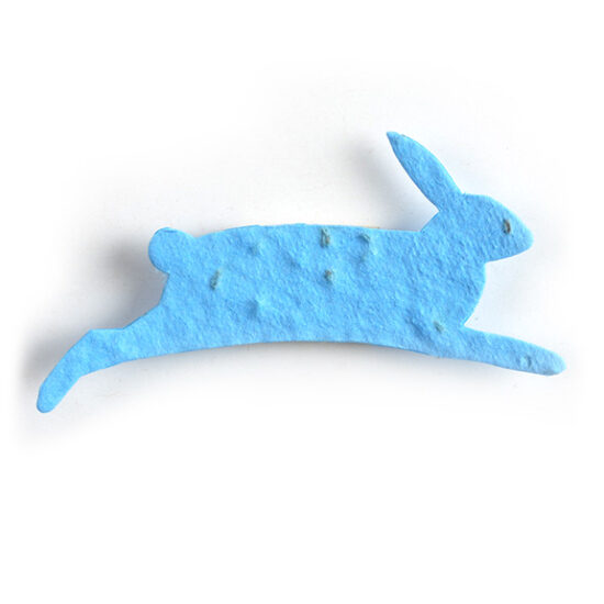 seed paper rabbit