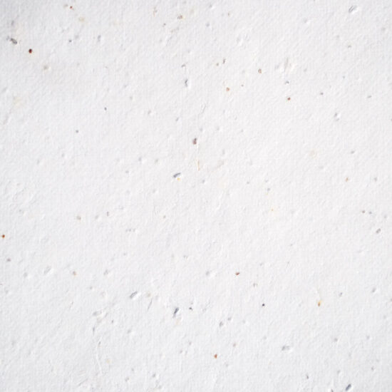 Plantable Paper Signature