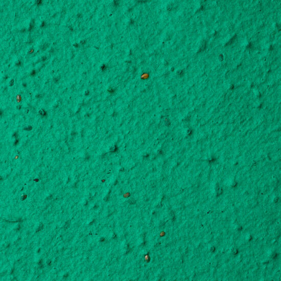 Herb Seed Paper - Forest color