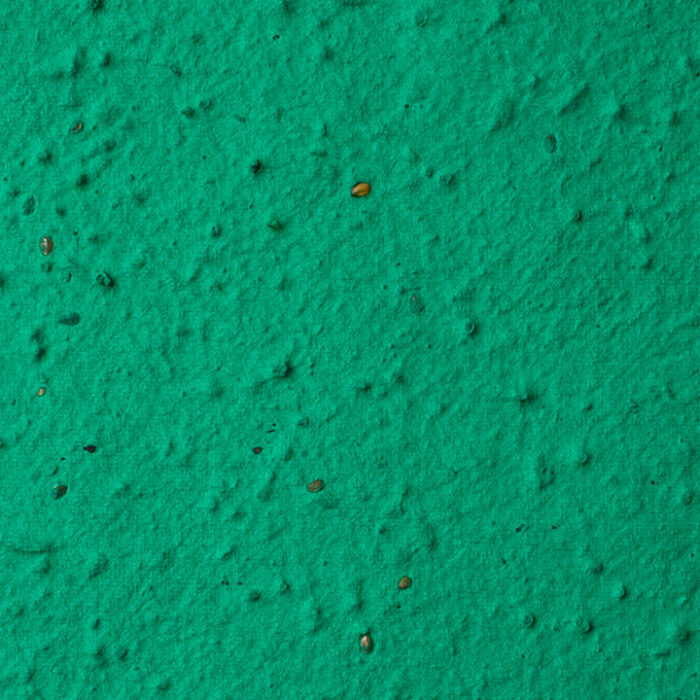 Herb Seed Paper - Forest color