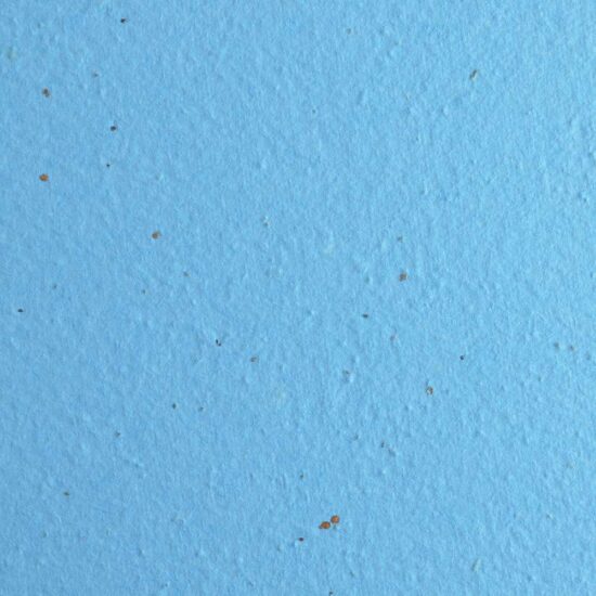light blue premium seed paper