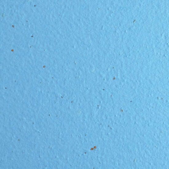 light blue premium seed paper