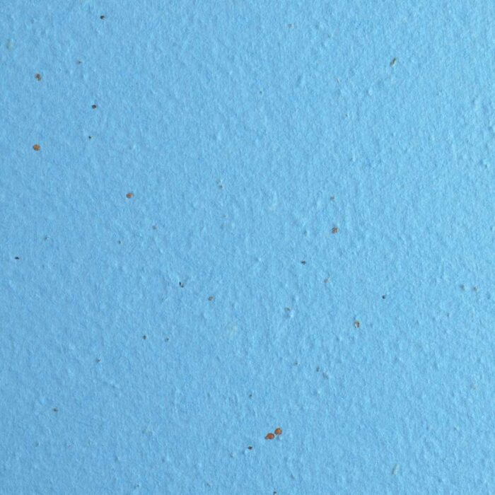 light blue premium seed paper