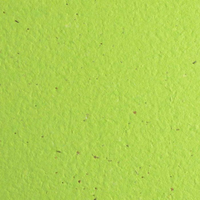 Lime Premium Seed Paper