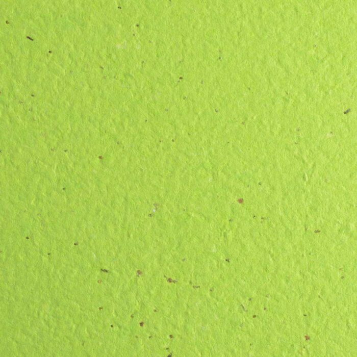 Lime Premium Seed Paper