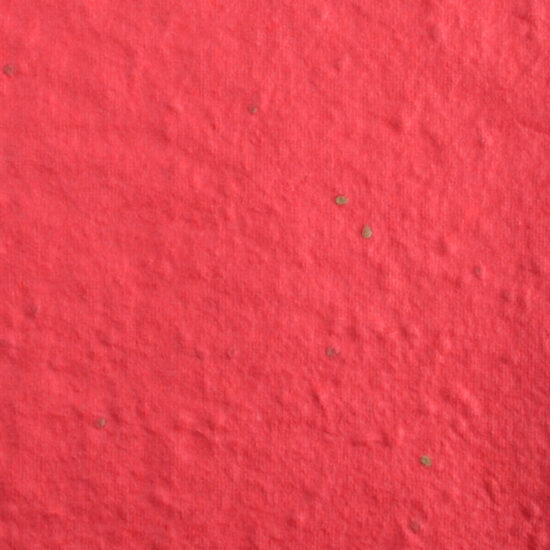 cranberry tomato color seed paper