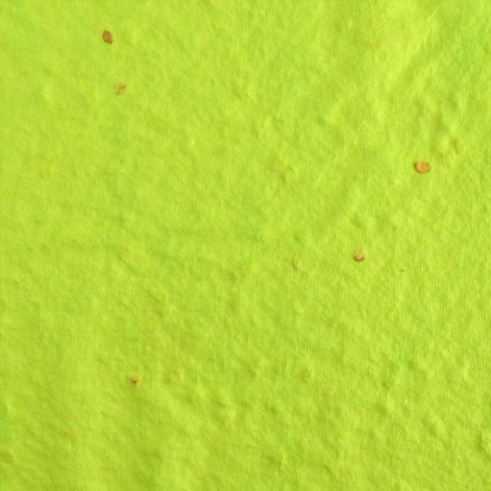 Lime Chili Color Seed Paper
