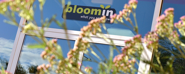 bloomin building