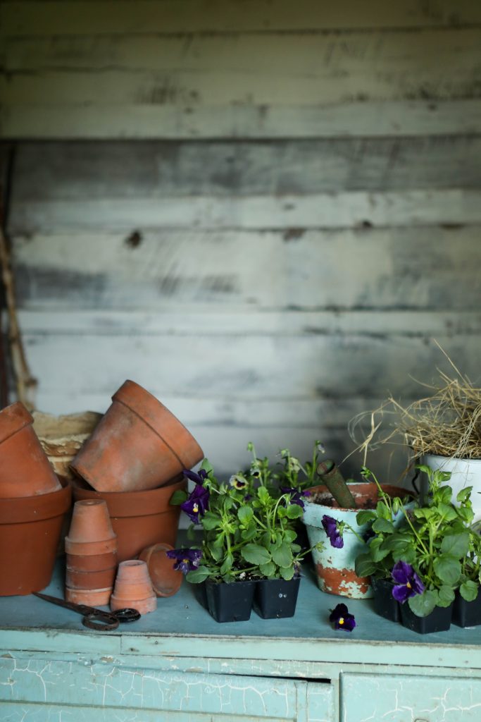 seeds with garden pots