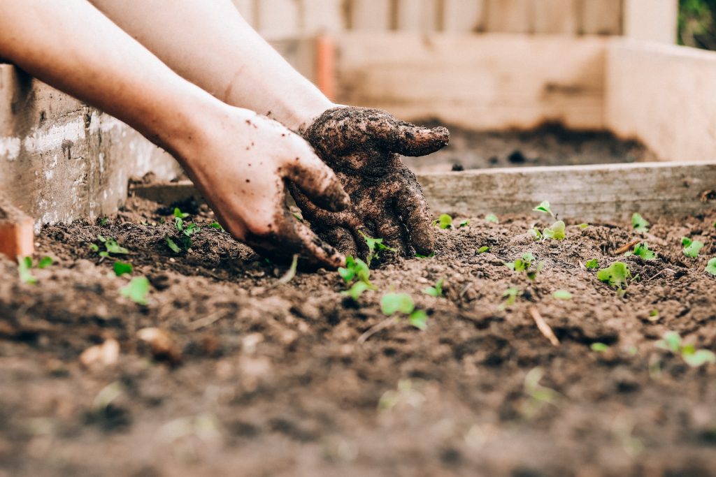 gardening