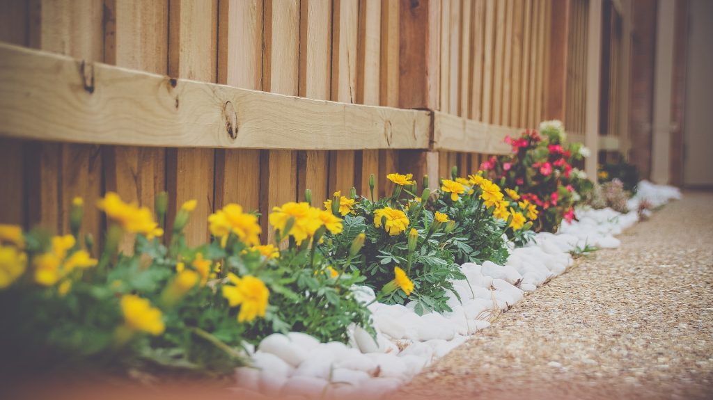 landscaping for flowers