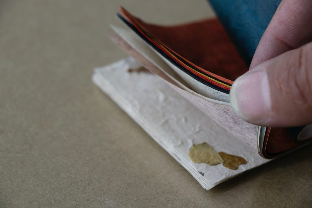 seed paper being flipped through a book