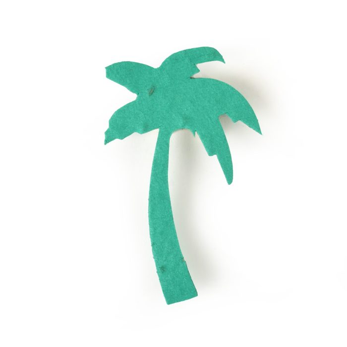 seed paper palm tree